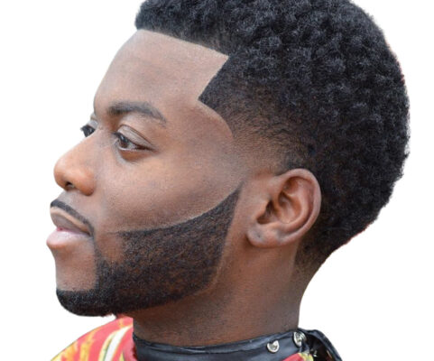 Black Mens Hair Style